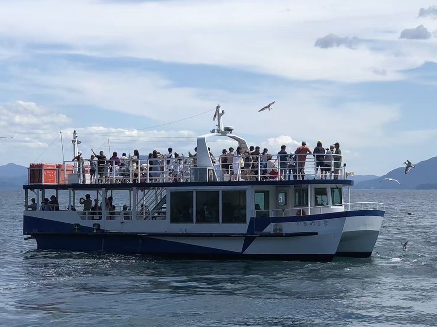 A sightseeing boat on Ine Bay with seagulls